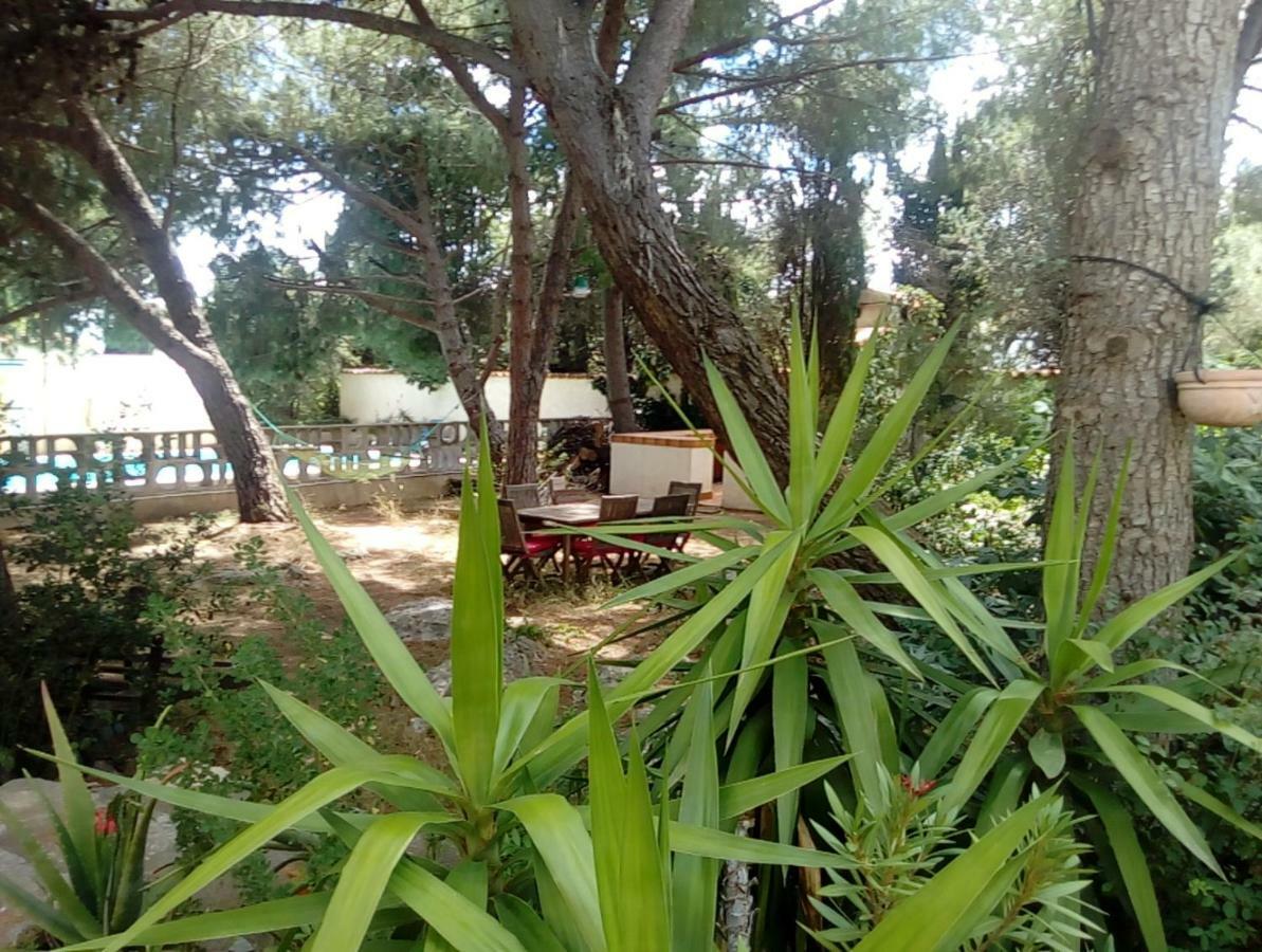 سُت Le Paradis De Valerie المظهر الخارجي الصورة